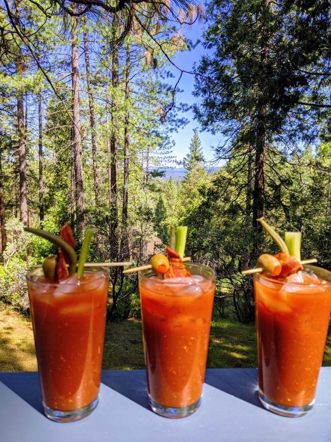 Breckenridge Chalet Near Yosemite. Dog Friendly! Groveland Luaran gambar